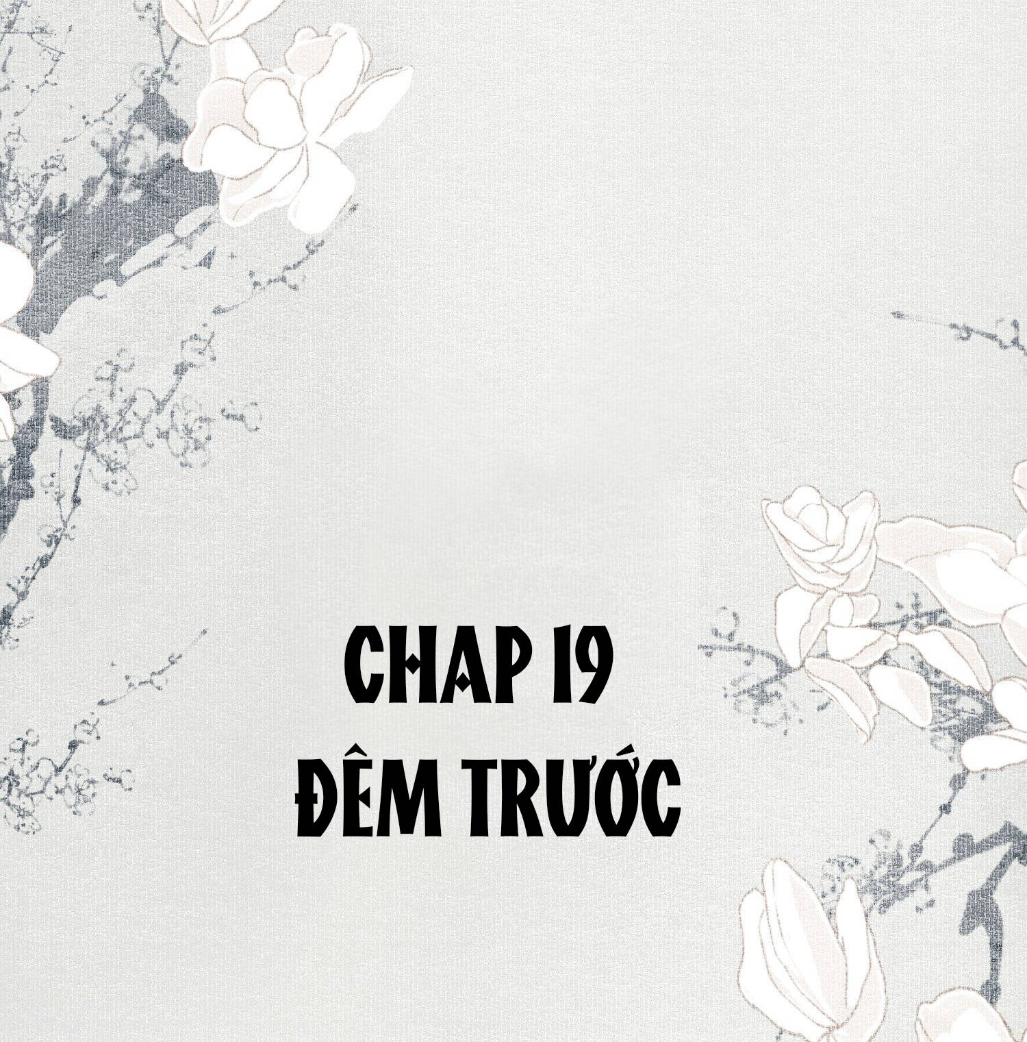 không cẩn thận cứu phải kẻ thù của giang hồ chapter 19 2