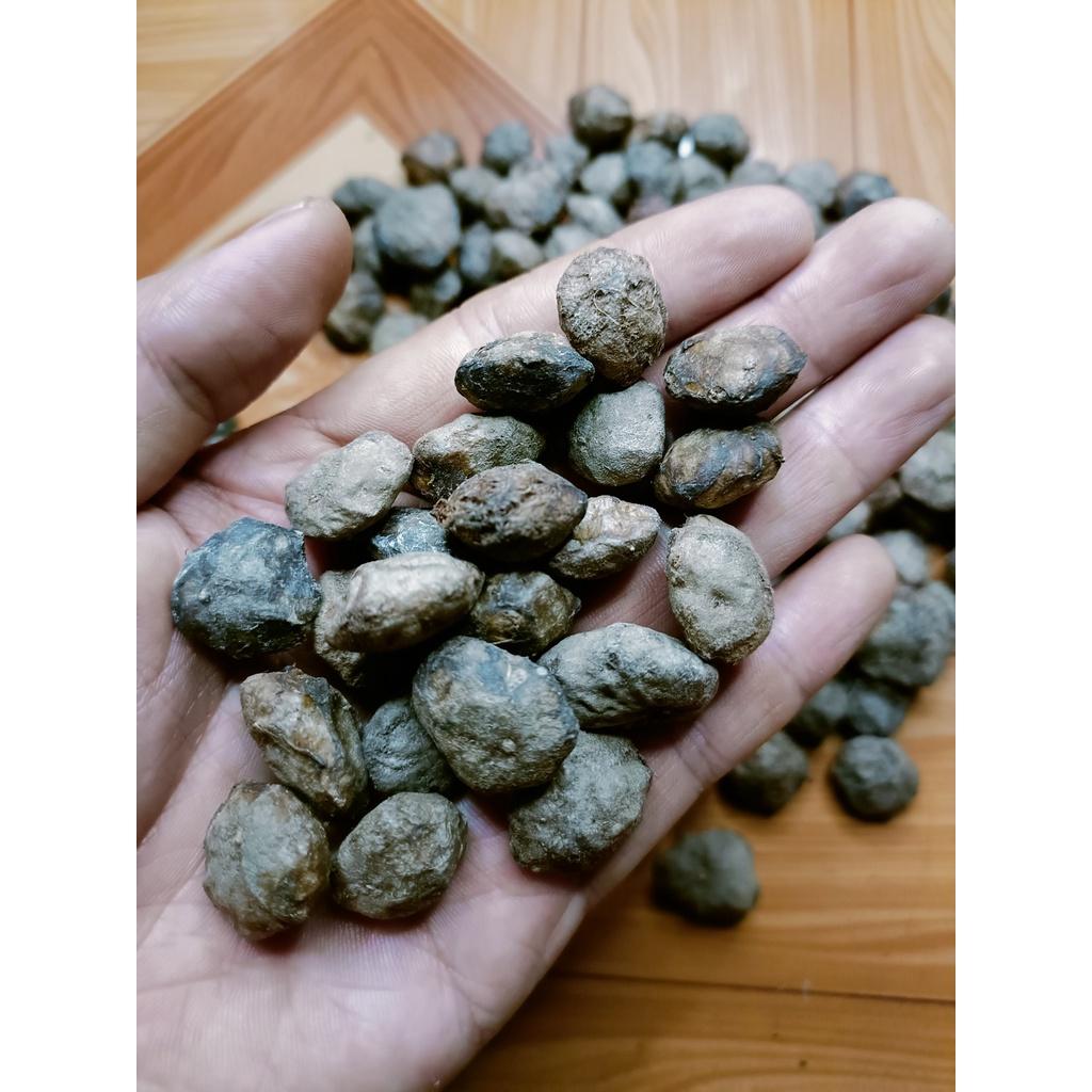 200 gram hạt giống sấu