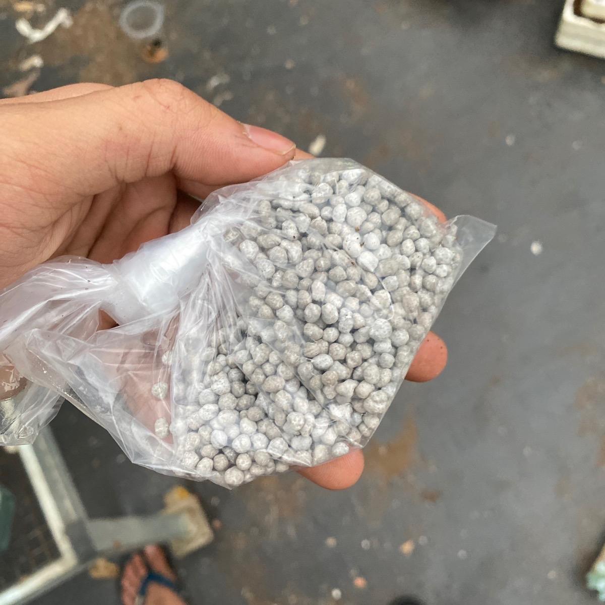 Phân tan chậm dành cho sen đá xương rồng
