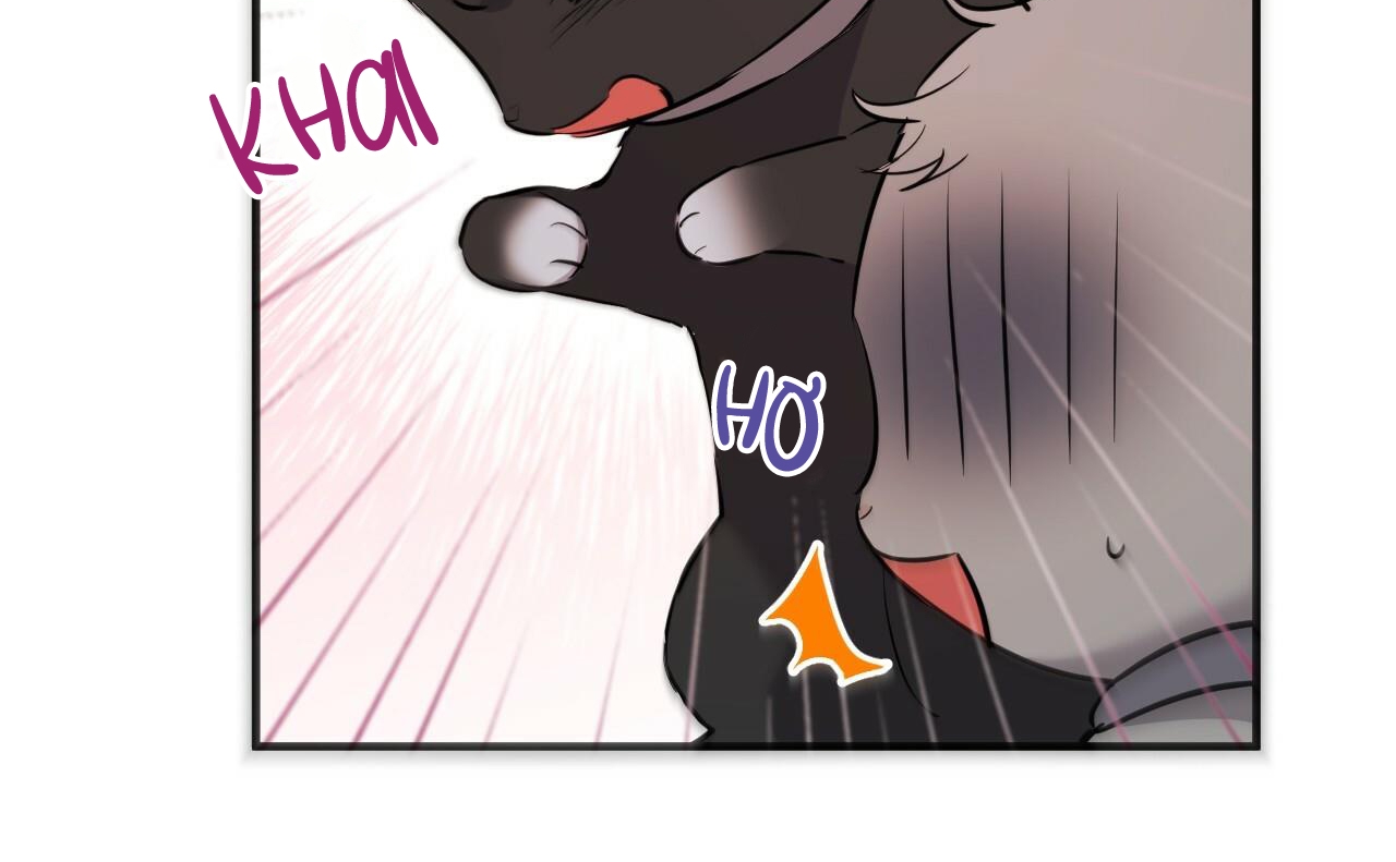 đàn thỏ của habibi chapter 46 85