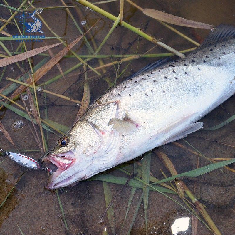 Mồi thìa lure suối, mồi thìa lượn inox