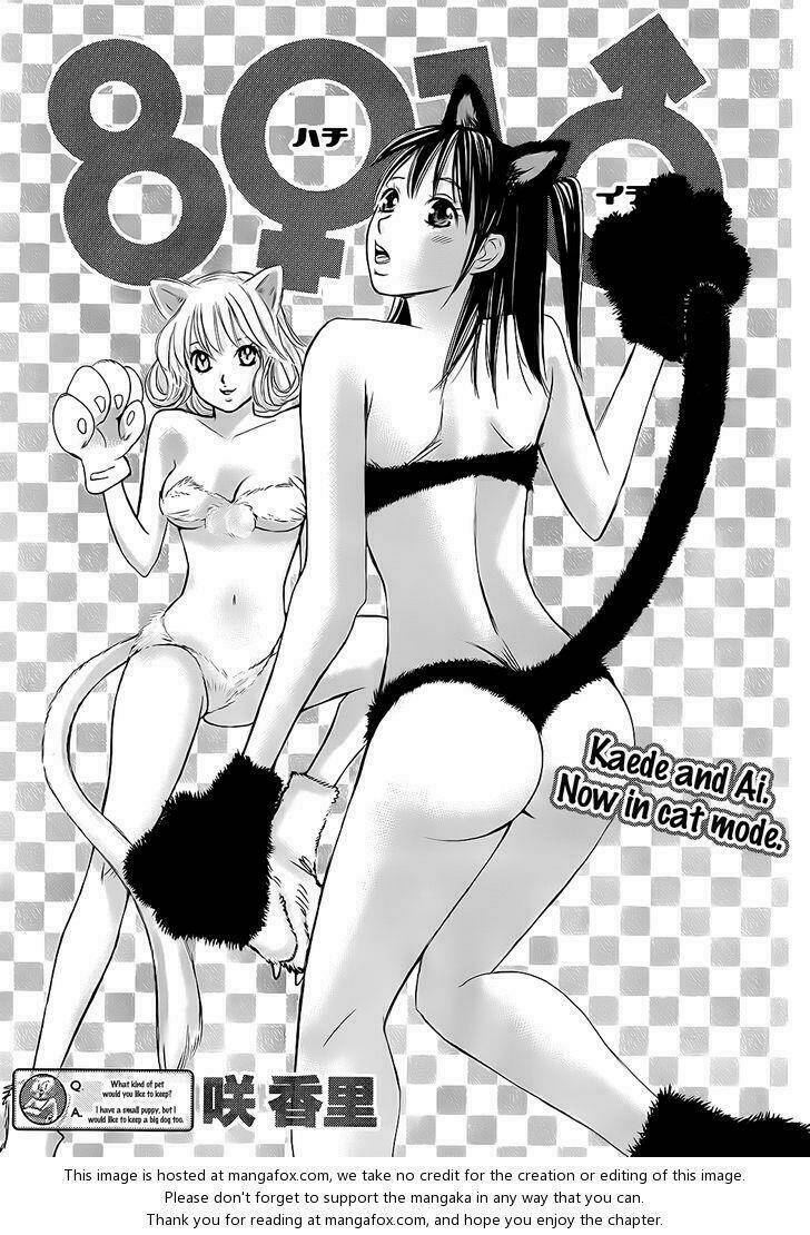 hachi ichi - 8 nàng 1 chàng chapter 16 1