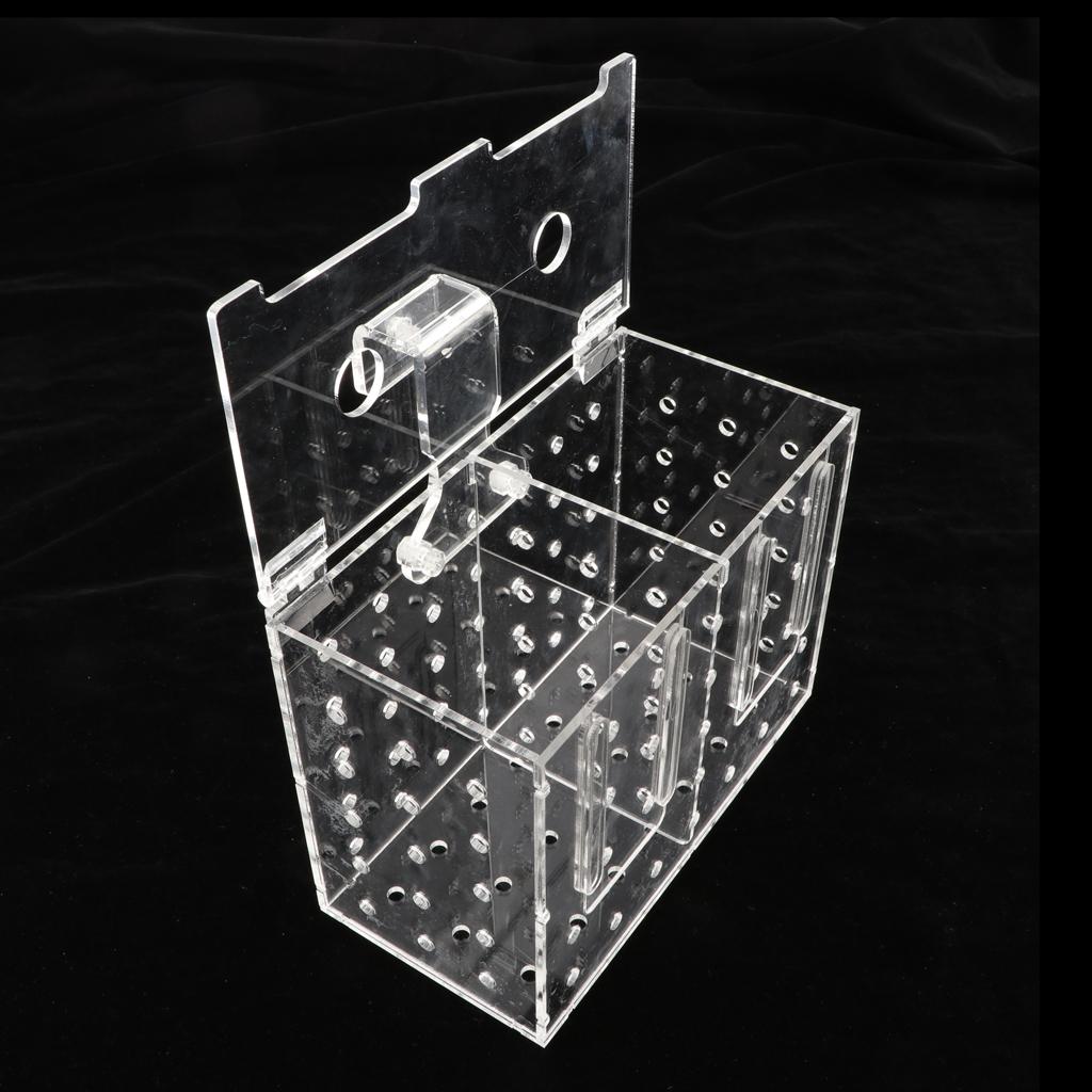 Clear Acrylic Aquarium Fish Incubator Breeding Box Incubator Isolation Box, 2 Size