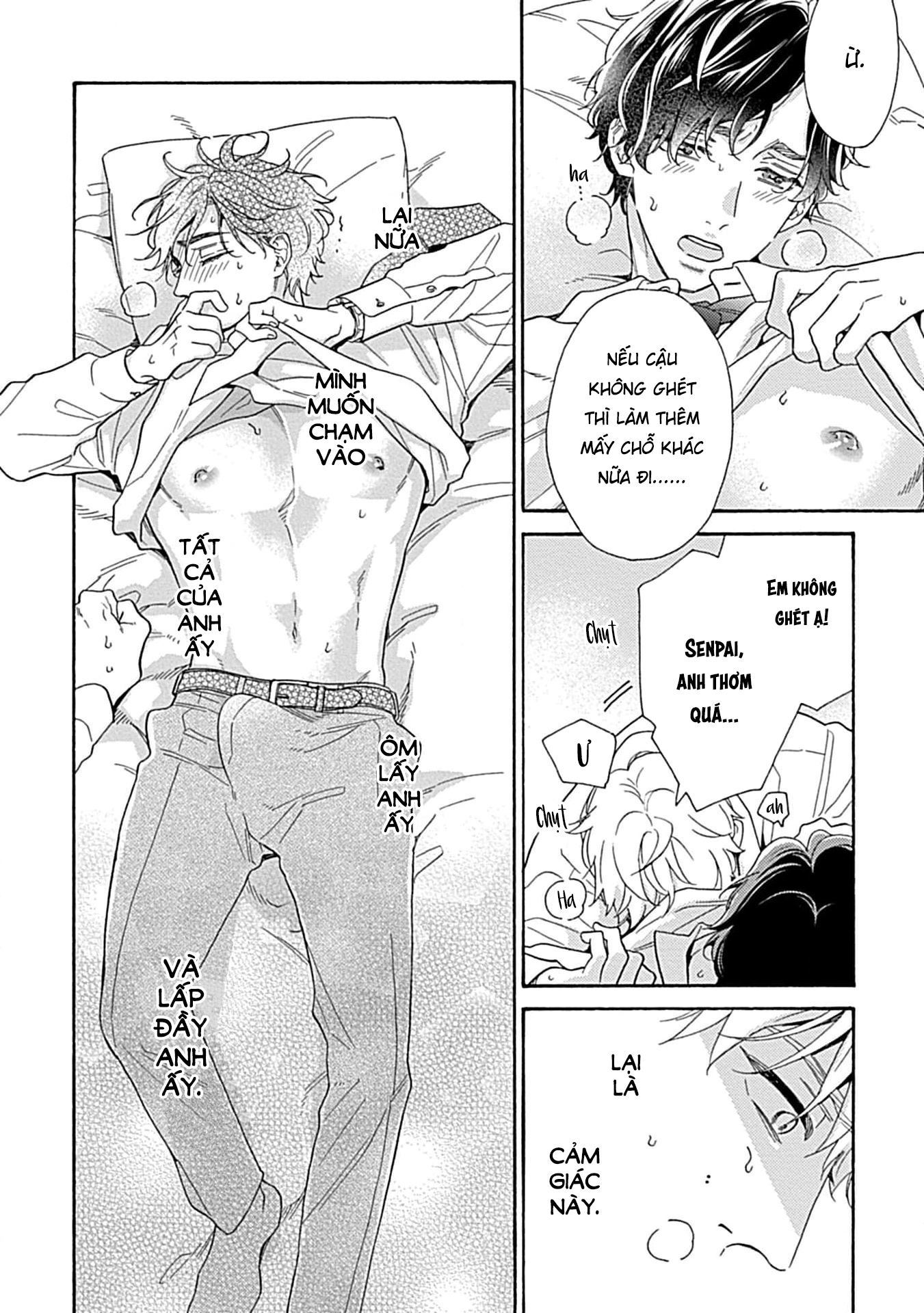 nơi may mắn hoàn hảo của shiba senpai chapter 1 26