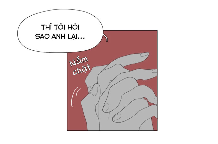 thú cưng của tôi là dơi chapter 39 61