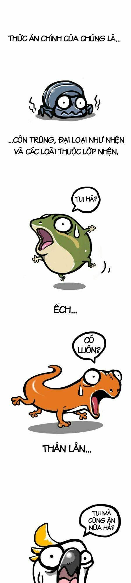 earth, human, and animal chapter 4 8