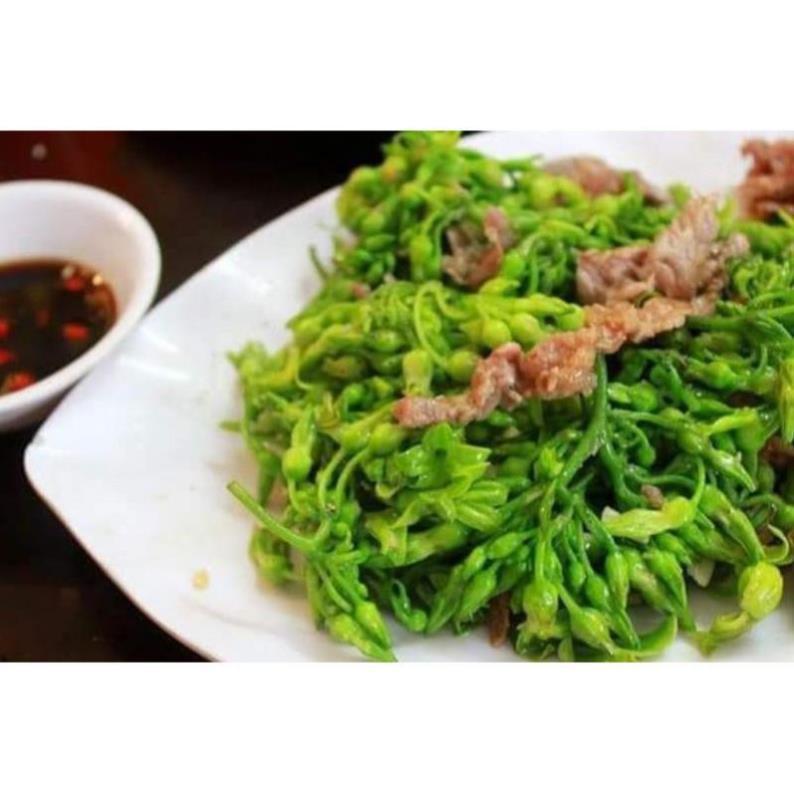 Cây giống hoa thiên lý - Cam Kết Chuẩn Giống