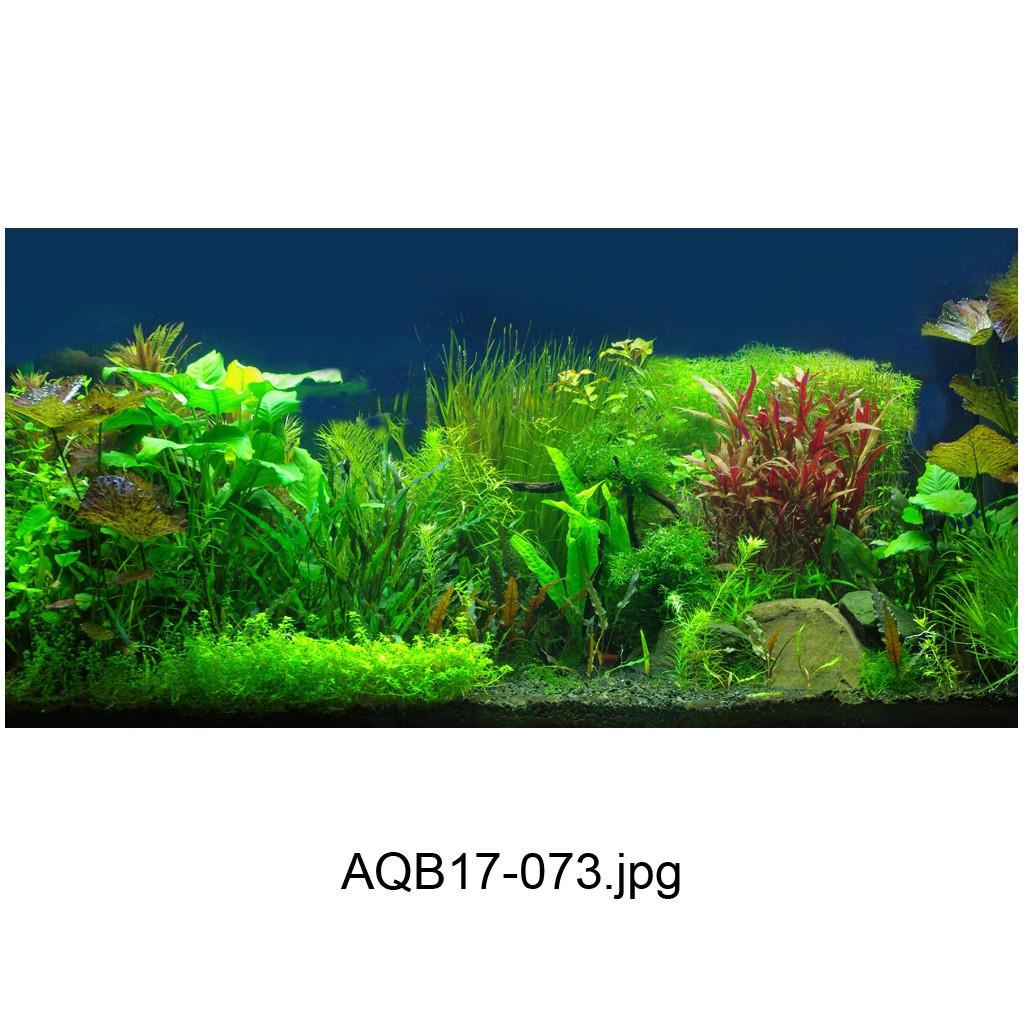 Tranh 3d Koifish - chịu nước, 100x45cm, cho hồ cá siêu nét, siêu đẹp,