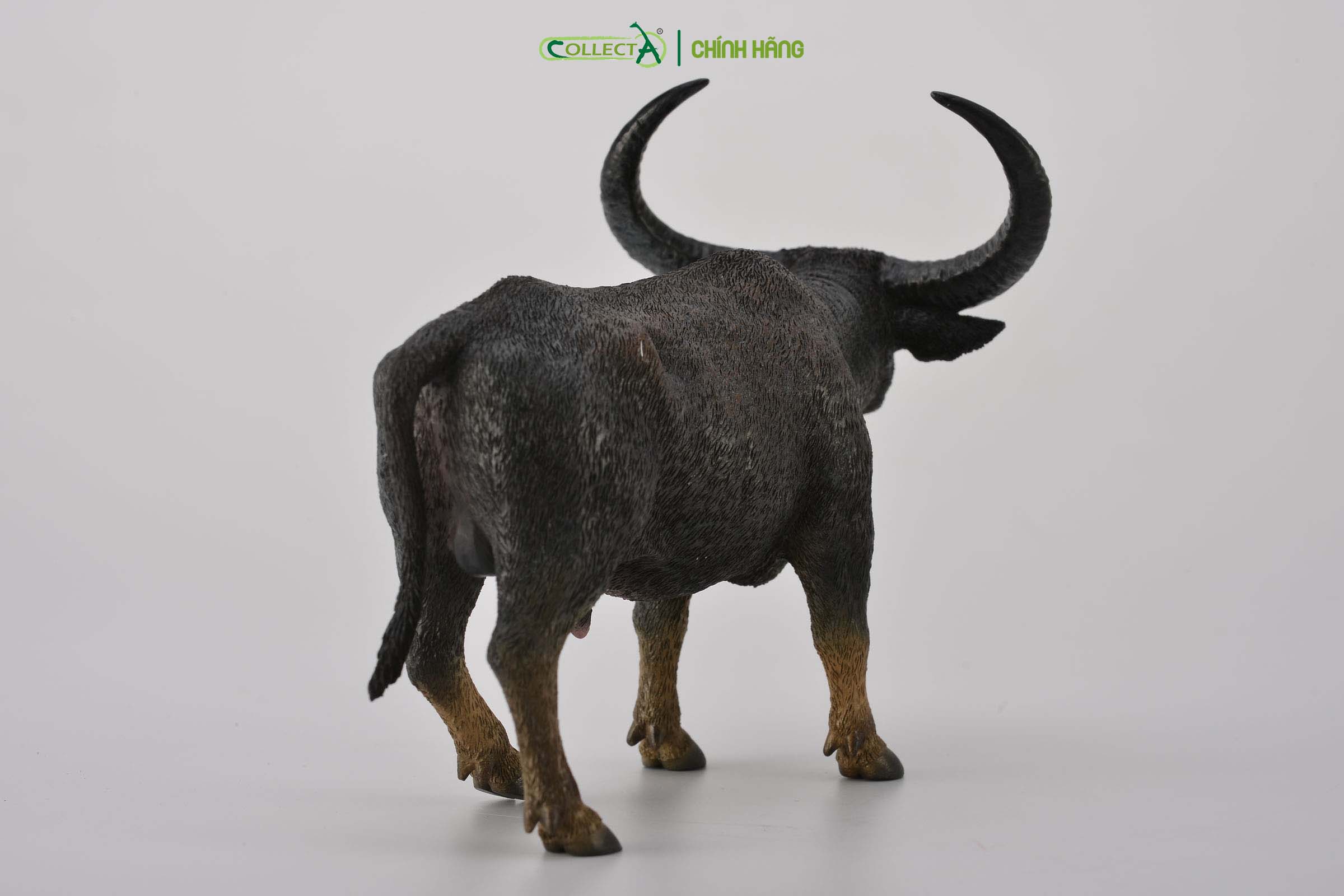 Mô hình thu nhỏ: Trâu rừng - Wild Water Buffalo, hiệu: CollectA, mã HS 9650050[88657] -  Chất liệu an toàn cho trẻ - Hàng chính hãng