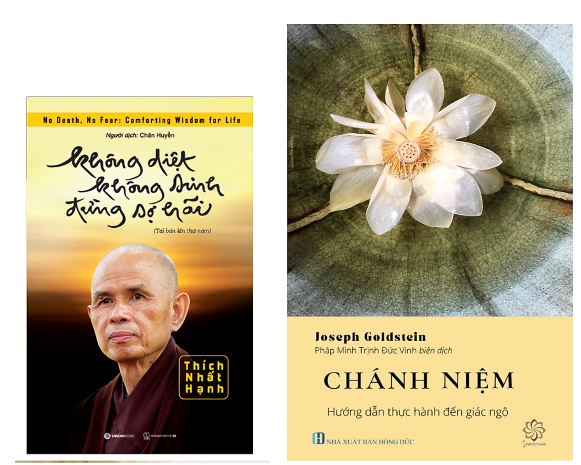 Không diệt không sinh đừng sợ hãi + Chánh Niệm Hướng dẫn thực hành đến Giác Ngộ