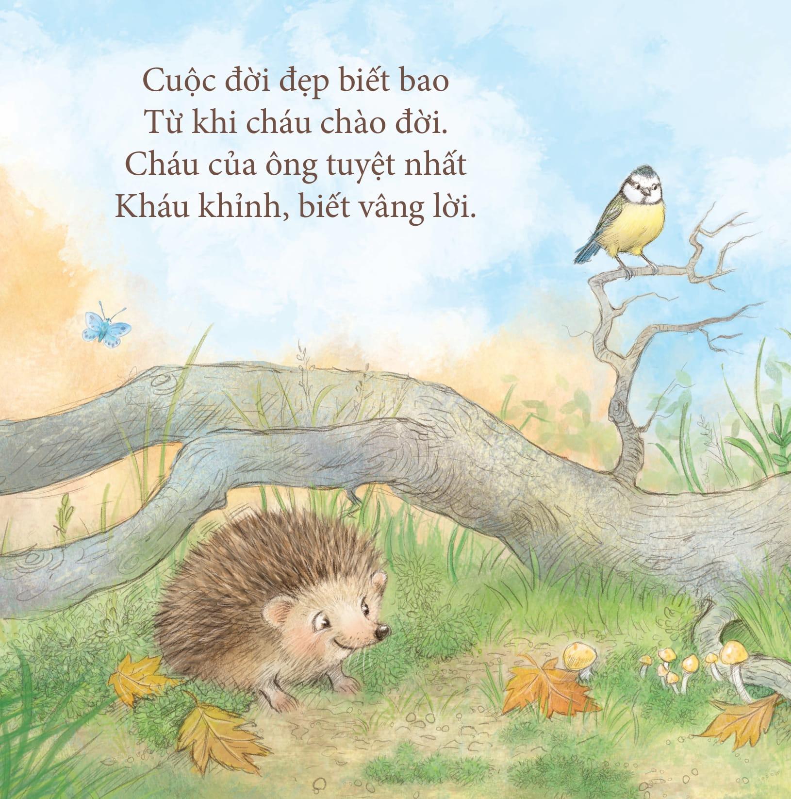 Yêu Thương Cho Con: Ông Yêu Bé