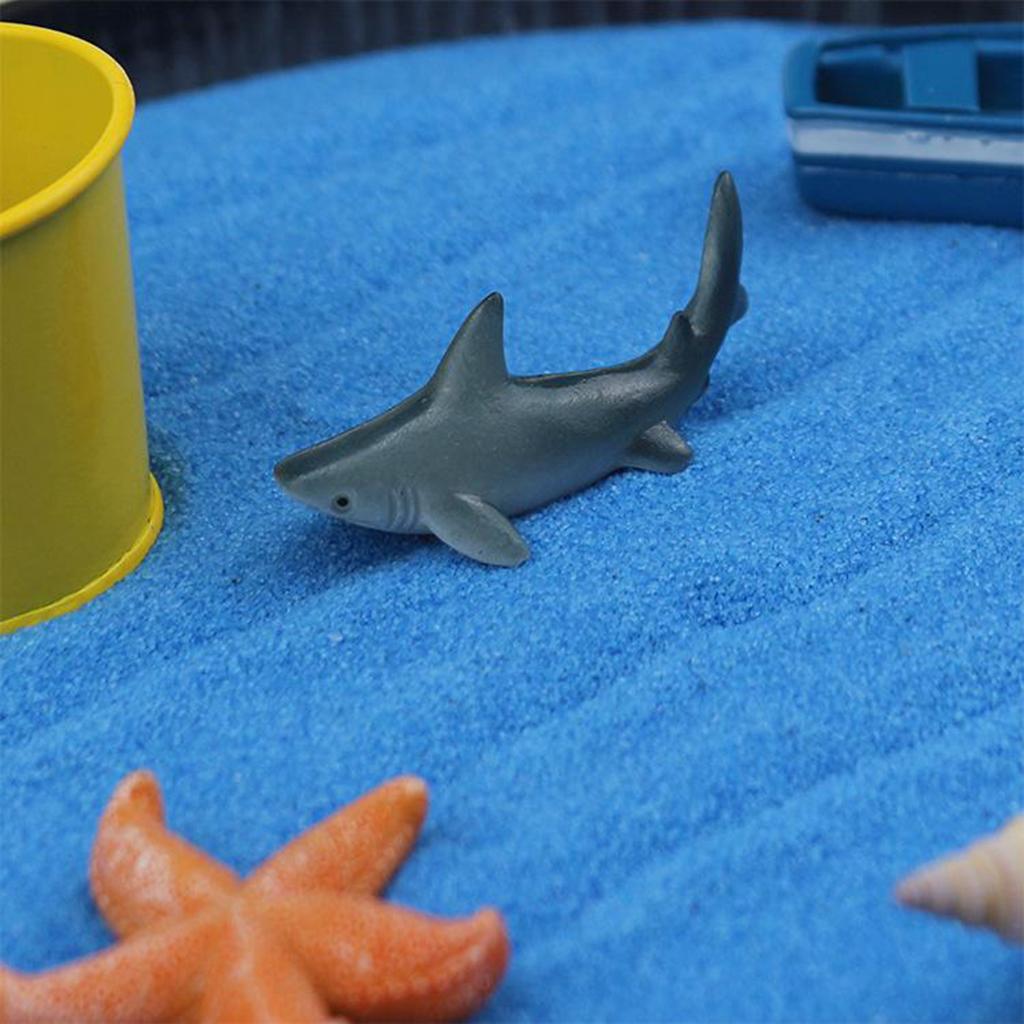 Beach Sandbox Sea Life Office Zen Garden Mini Landscape Miniature Child Toy