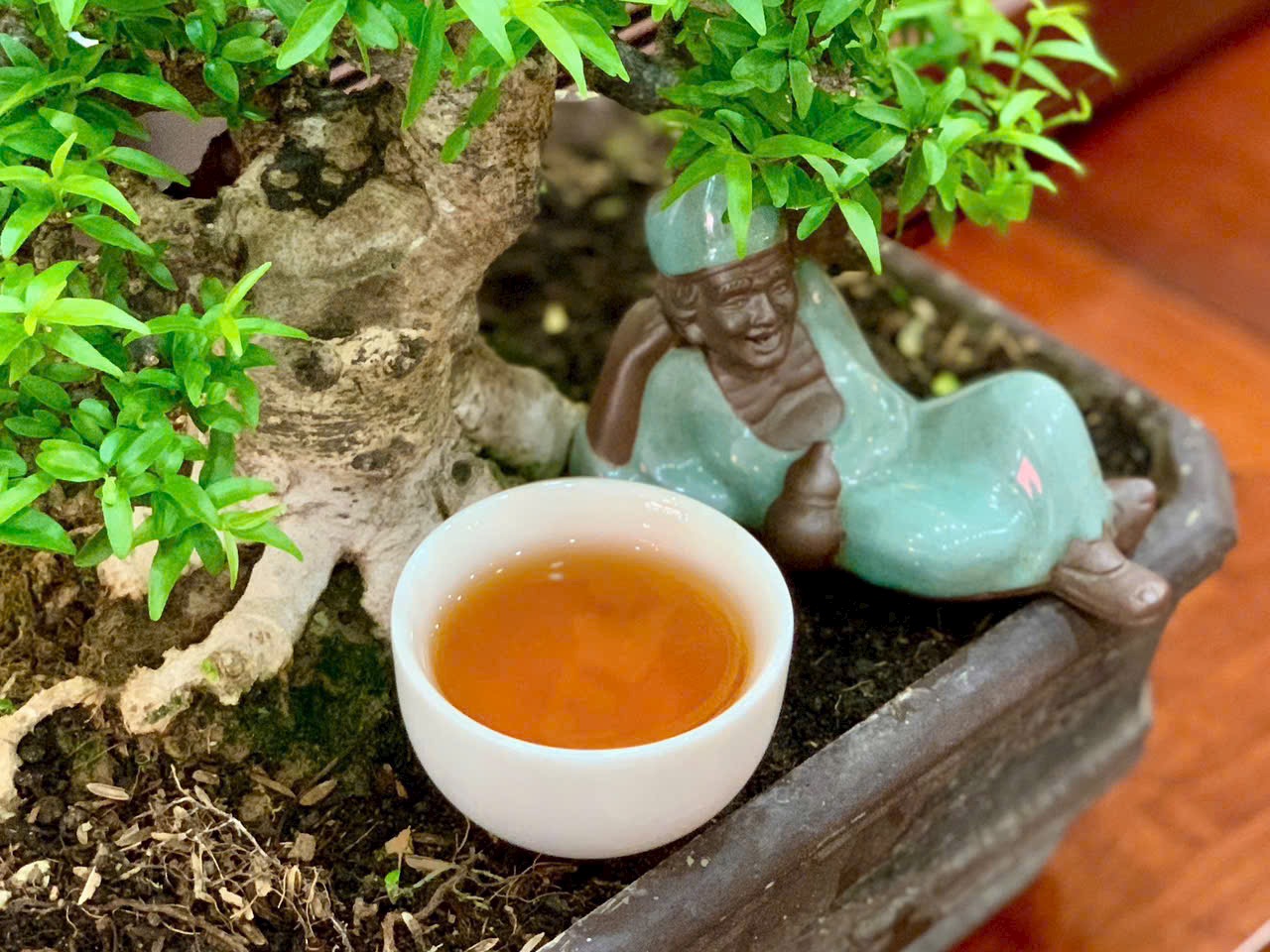 TRÀ Ô LONG LÃO - TRÀ NGỦ NGON - ĐẸP DA - QUÀ TẶNG Ý NGHĨA - ORGANIC OOLONG TEA - 100g