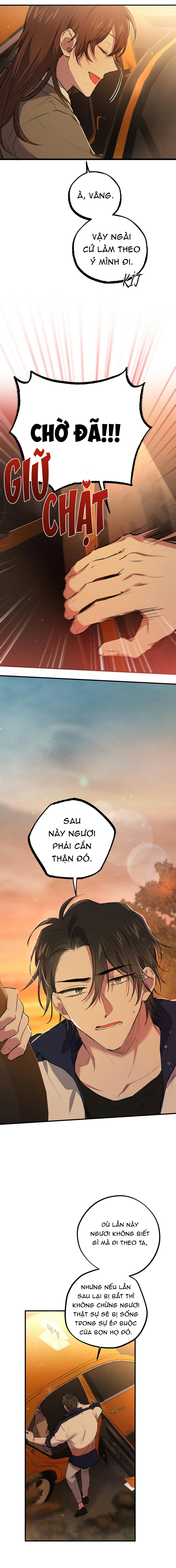 những chú thỏ của hapypy chapter 23 10