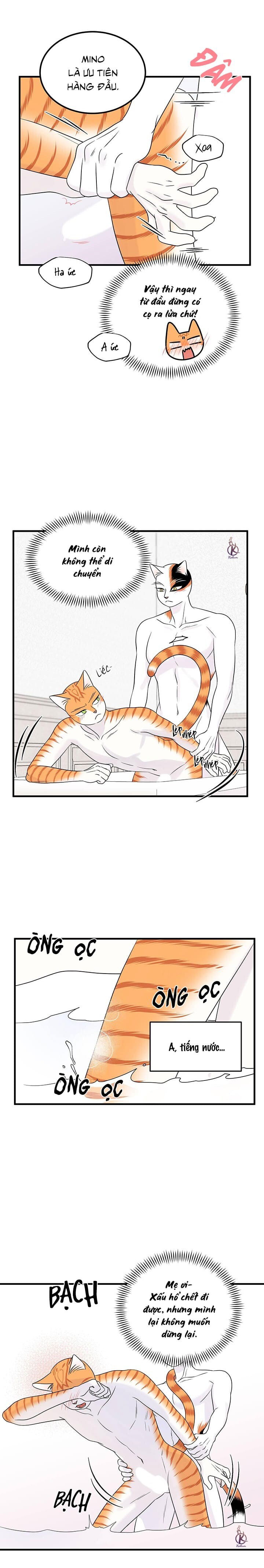 dự án xanh chapter 38 13