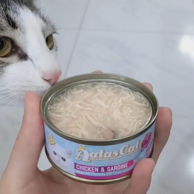 Pate mèo dạng súp gà sợi nhuyễn mix 8 vị - 1 Thúng 24 lon pate thức ăn ướt cho mèo Aatas Cat nhập khẩu Thái Lan