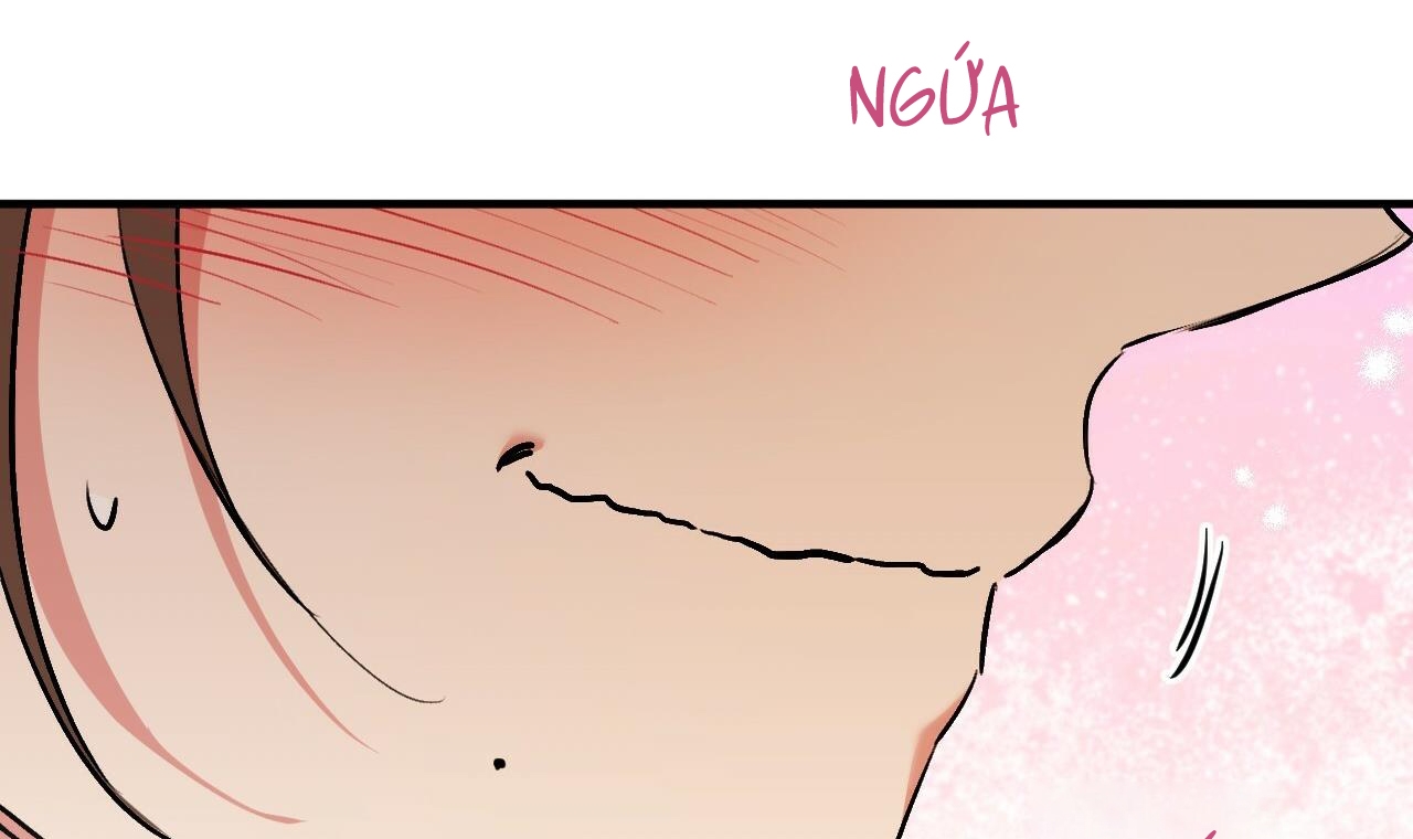 đàn thỏ của habibi chapter 42 118