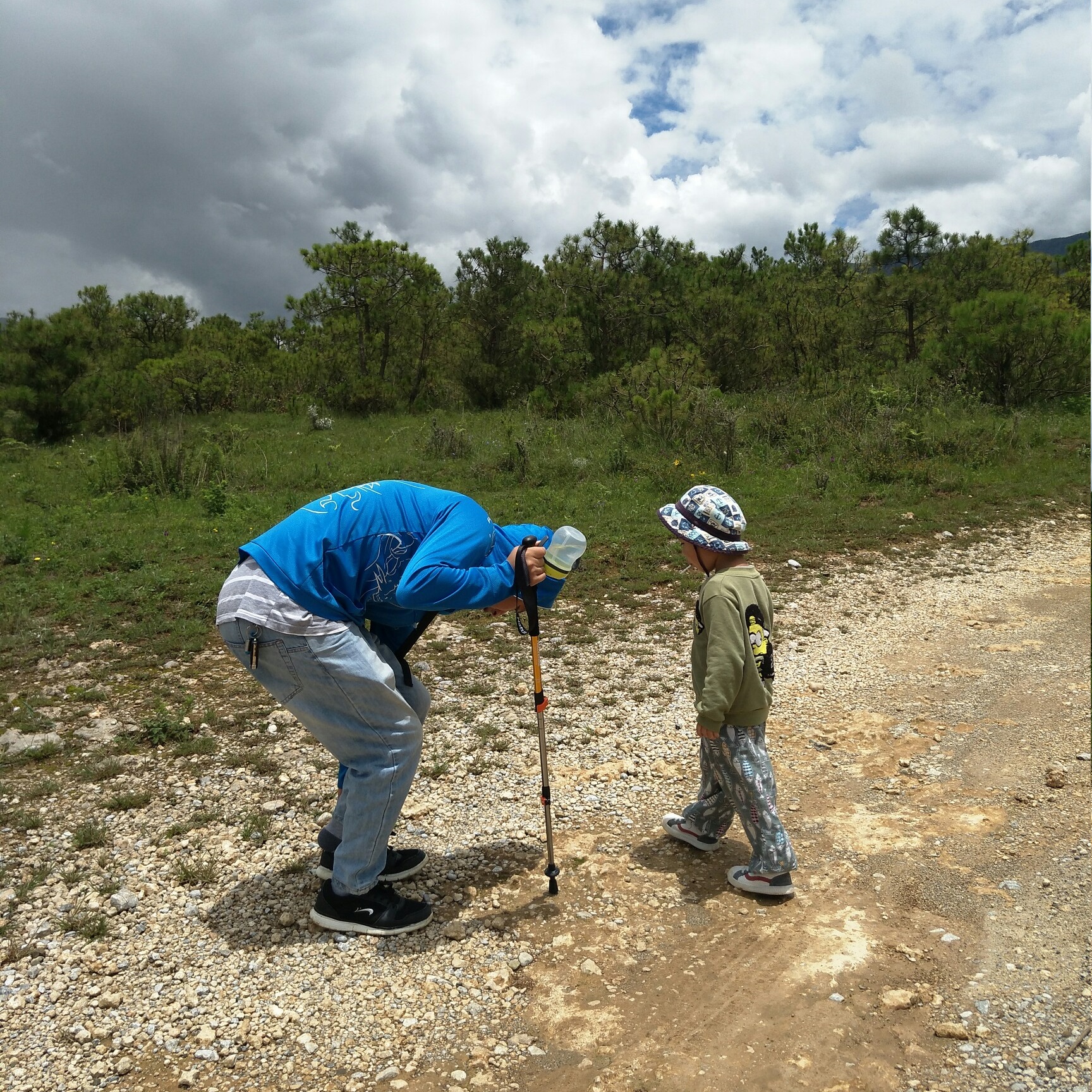 Gậy Trekking Leo Núi Gấp Gọn Naturehike NH17D001-Z