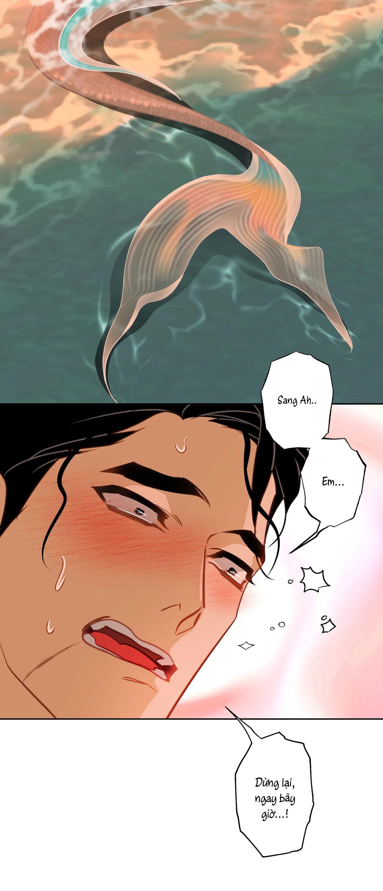 mỹ nhân ngư chapter 14 50