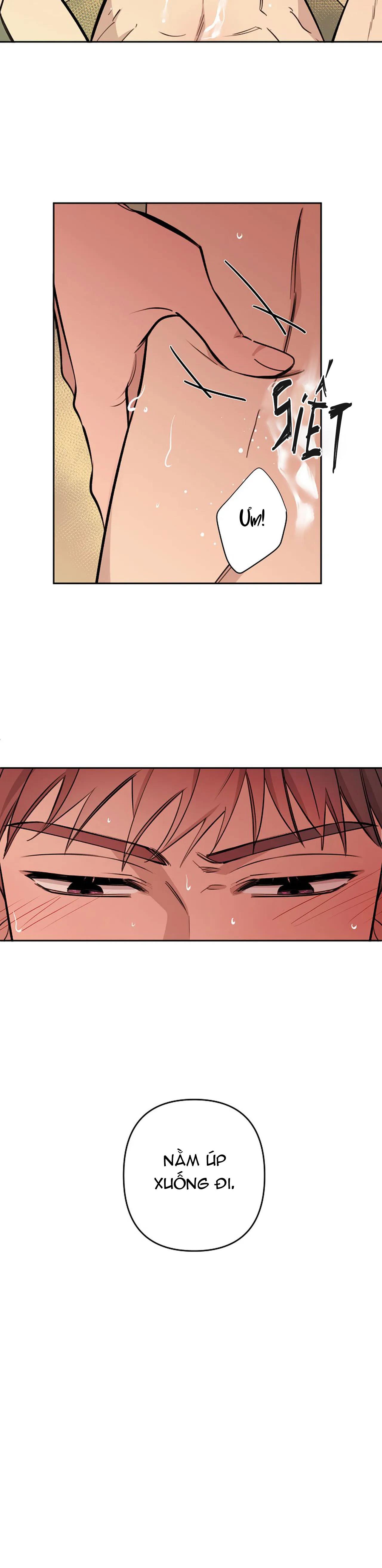 đêm dịu dàng chapter 50 19