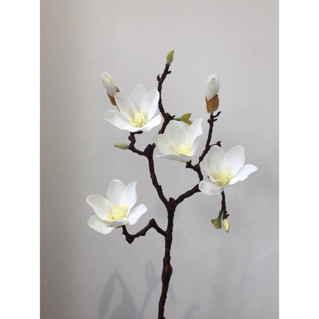 HOA MỘC LAN CAO SU TRẮNG - DECOR nhà cửa văn phòng, nội thất nhà ở, cắm lọ