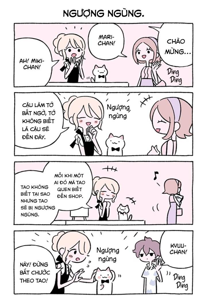 chú mèo kỳ diệu kyuu-chan chapter 734 3