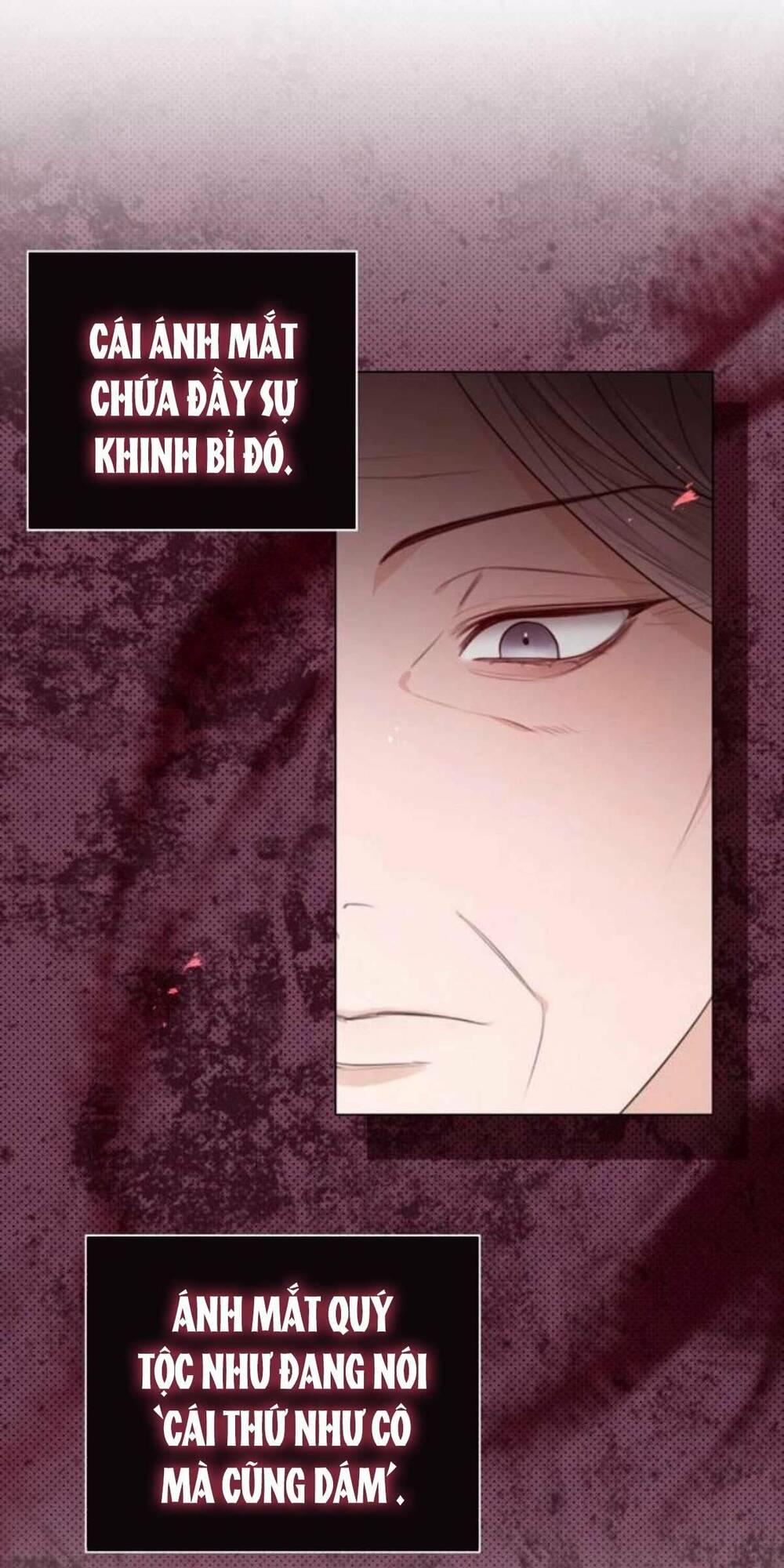 tôi sẽ từ bỏ vị trí hoàng hậu chapter 27 22