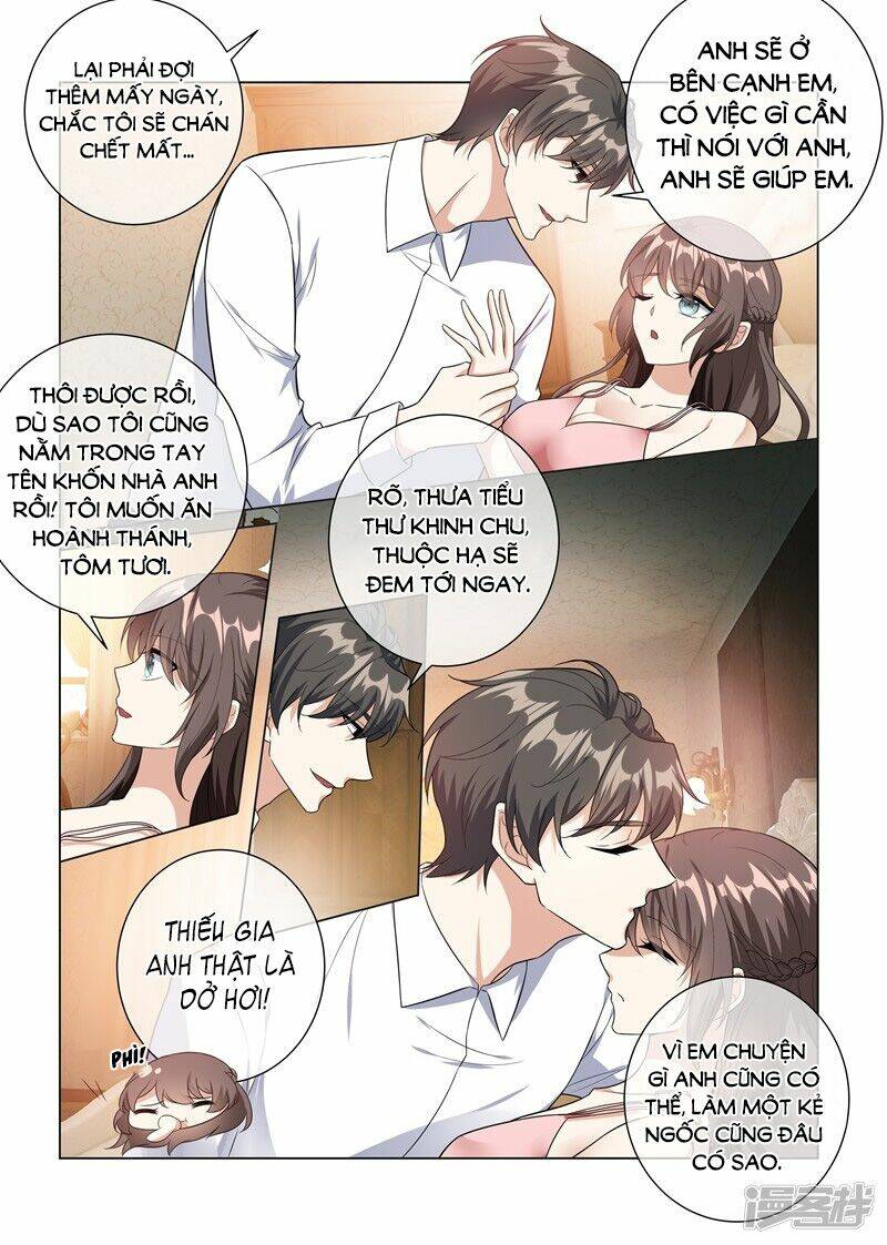 Thiếu Soái ! Vợ Ngài Lại Bỏ Trốn Chapter 226 - Trang 5