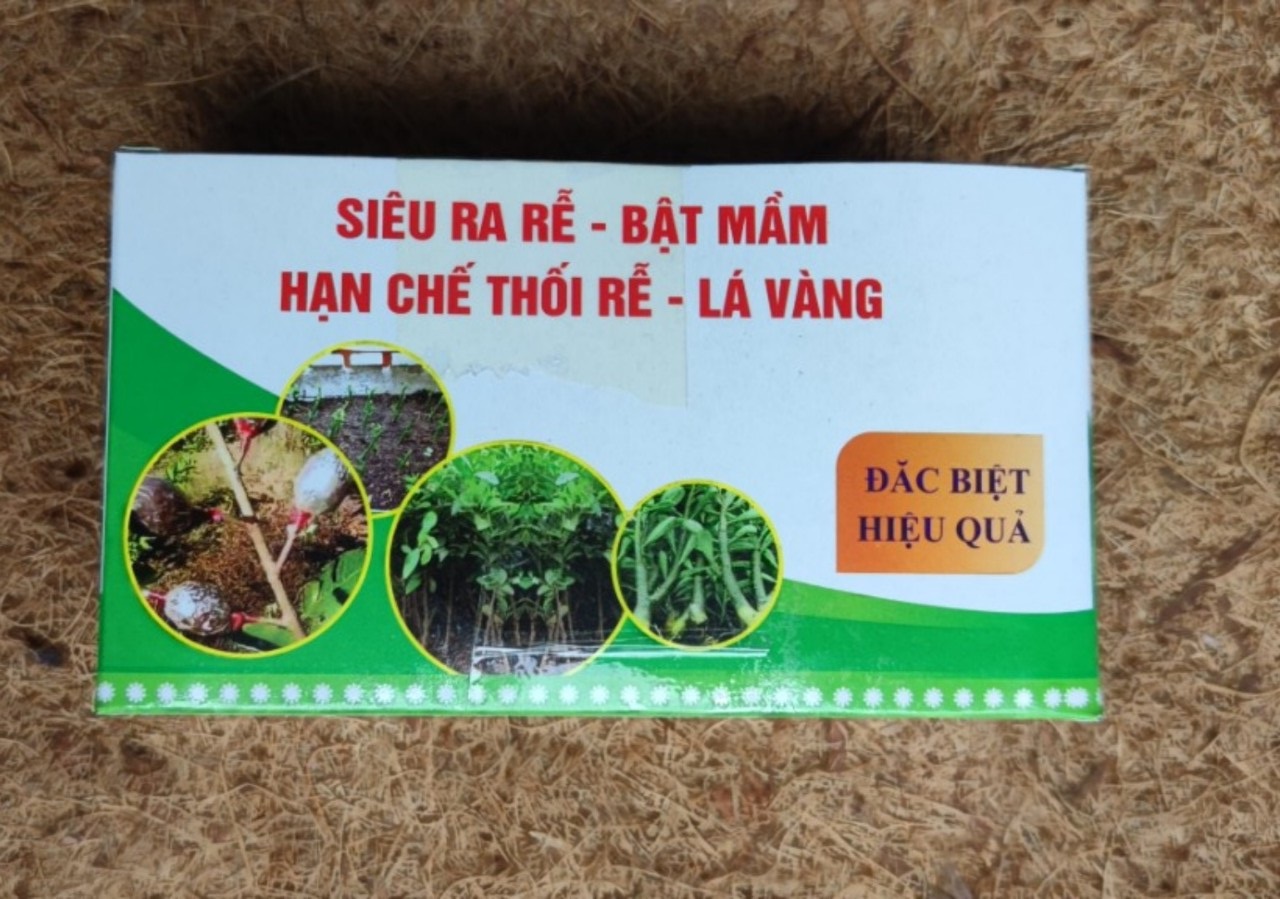 Siêu ra rễ chuyên dùng Giâm- Chiết cây (lọ 50ml) hạn chế thối rễ, vàng lá