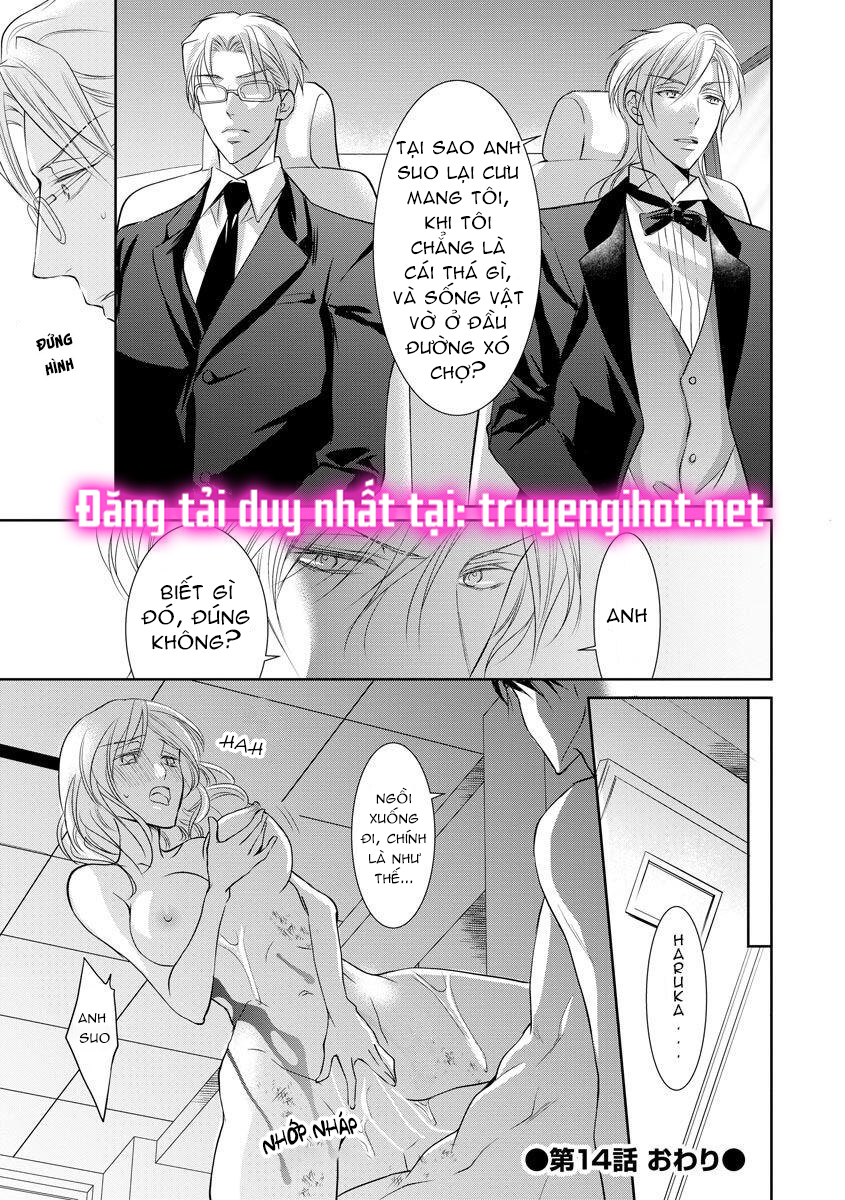 huấn luyện khốc liệt của yakuza chapter 14.3 7