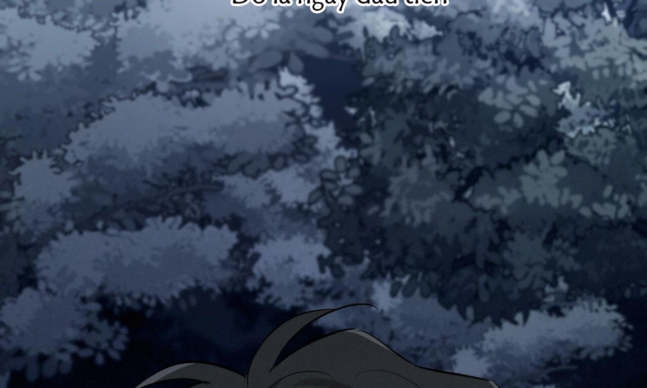 đàn thỏ của habibi chapter 37 100