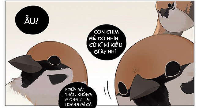 sẻ chiếu mới và nhạn phong sương chapter 9 7