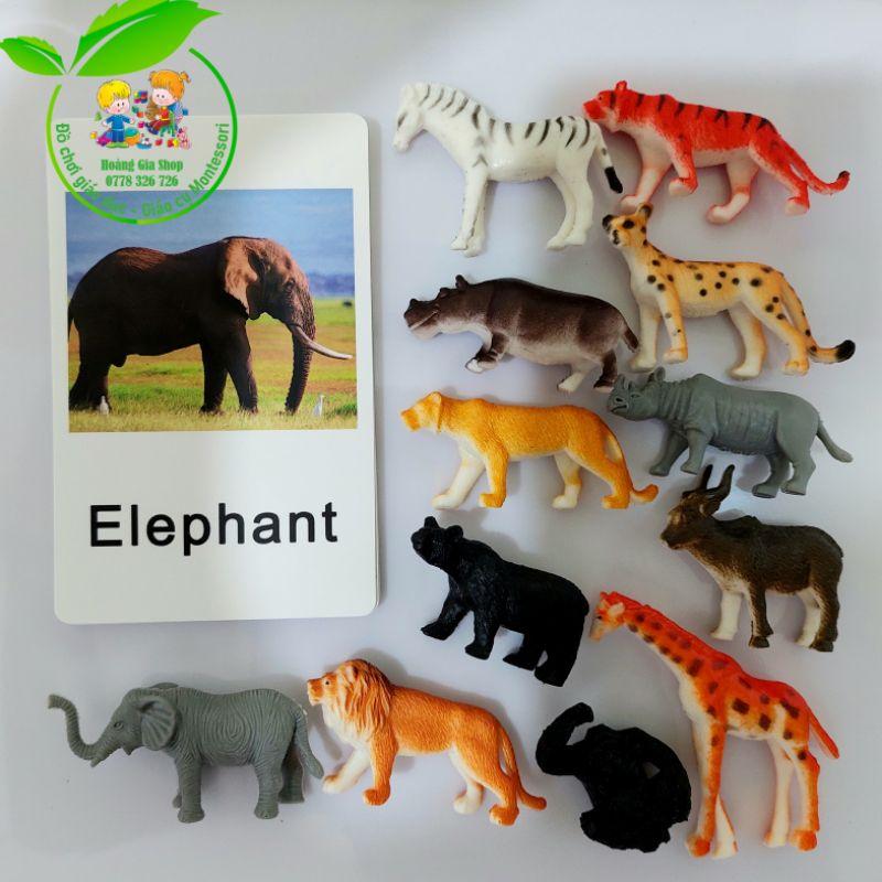 Mô hình 12 động vật hoang dã kèm thẻ ảnh
