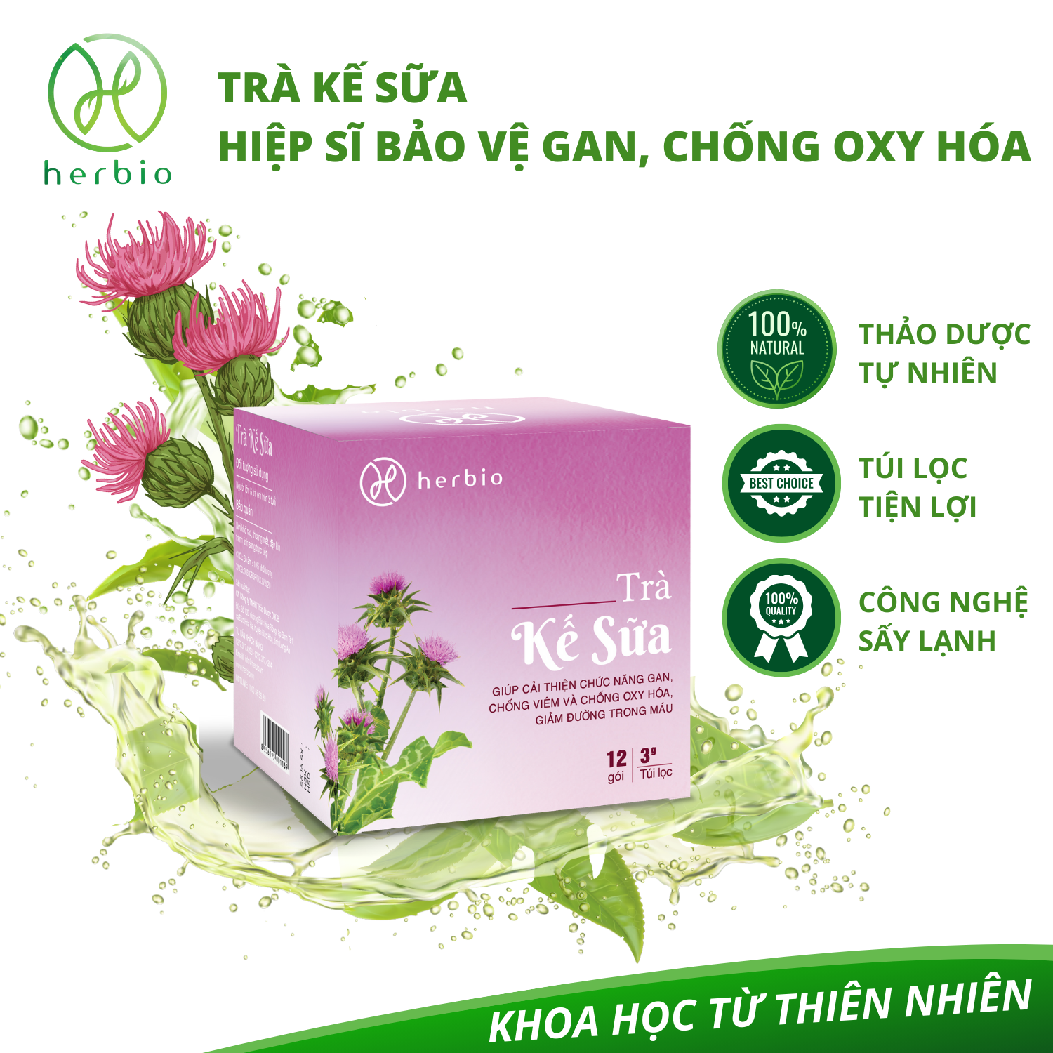 Trà Thảo Mộc Giải Độc Gan Kế Sữa Herbio - Hiệp Sĩ Bảo Vệ Gan, Hỗ Trợ Viêm Gan B, Chống Lão Hóa, Giảm Đường Trong Máu 12 Túi Lọc X 3Gram - Kế Sữa