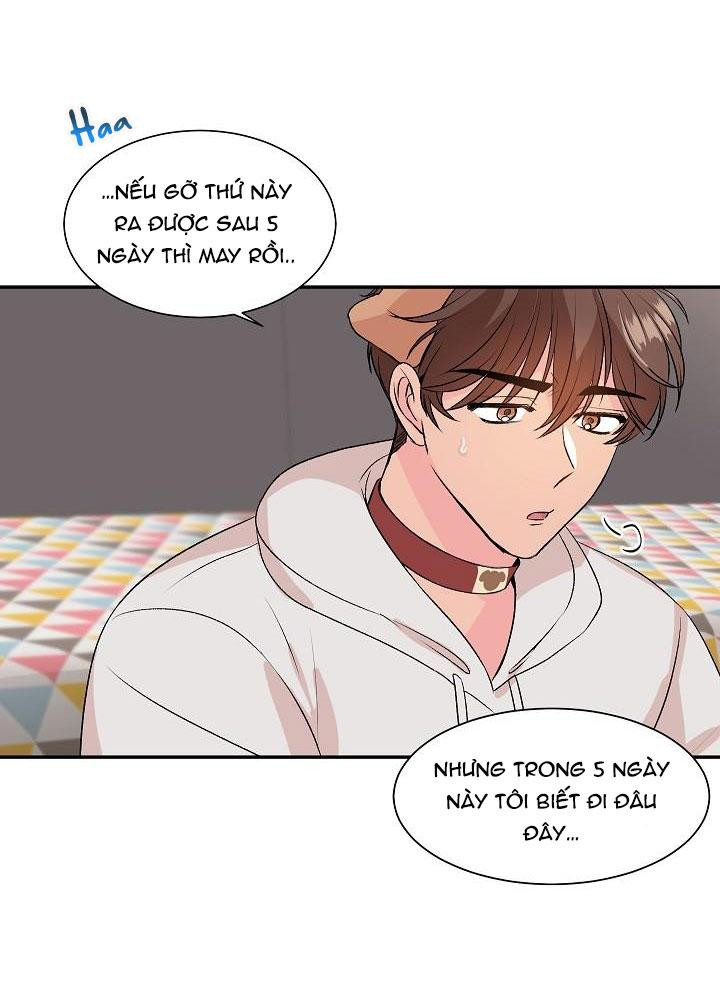 good dog , my boy chapter 1 42