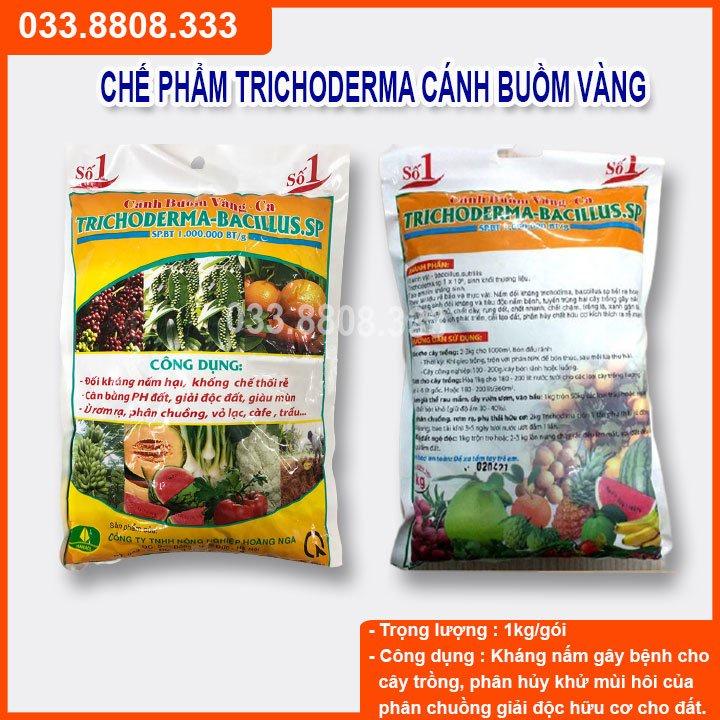 Trichoderma 1kg - chế phẩm hữu cơ diệt nấm đối kháng, tăng hiệu lực đối kháng cho cây trồng