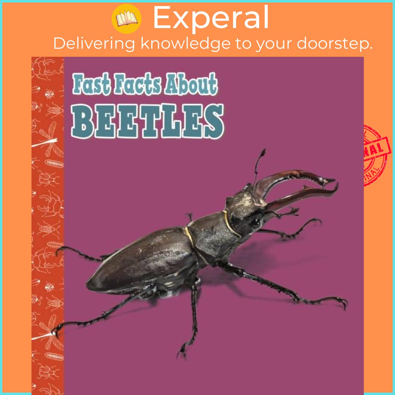 Sách - Fast Facts About Beetles by Julia Garstecki-Derkovitz (UK edition, paperback)