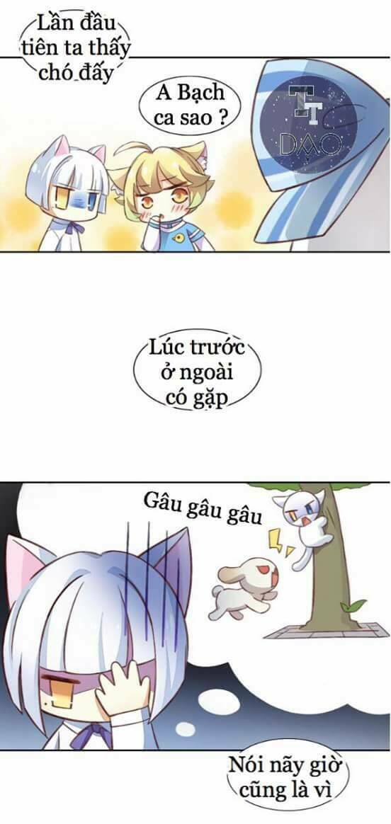 dưới móng vuốt mèo chapter 5 20