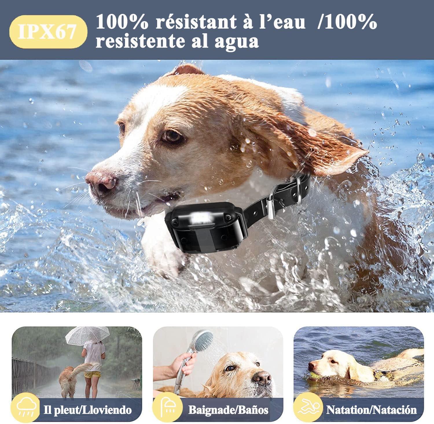 Vòng cổ huấn luyện chó có thể sạc lại, Phạm vi 1000m, với Chế độ rung, âm thanh, sốc tĩnh và ánh sáng,