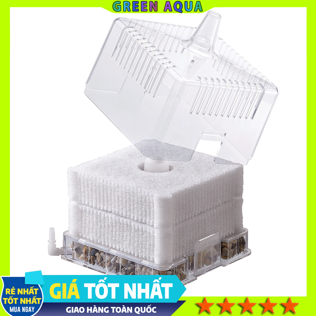 GEX - Roka Boy M | Lọc Bio mini làm sạch bụi nước và tạo vi sinh cho hồ cá cảnh thủy sinh
