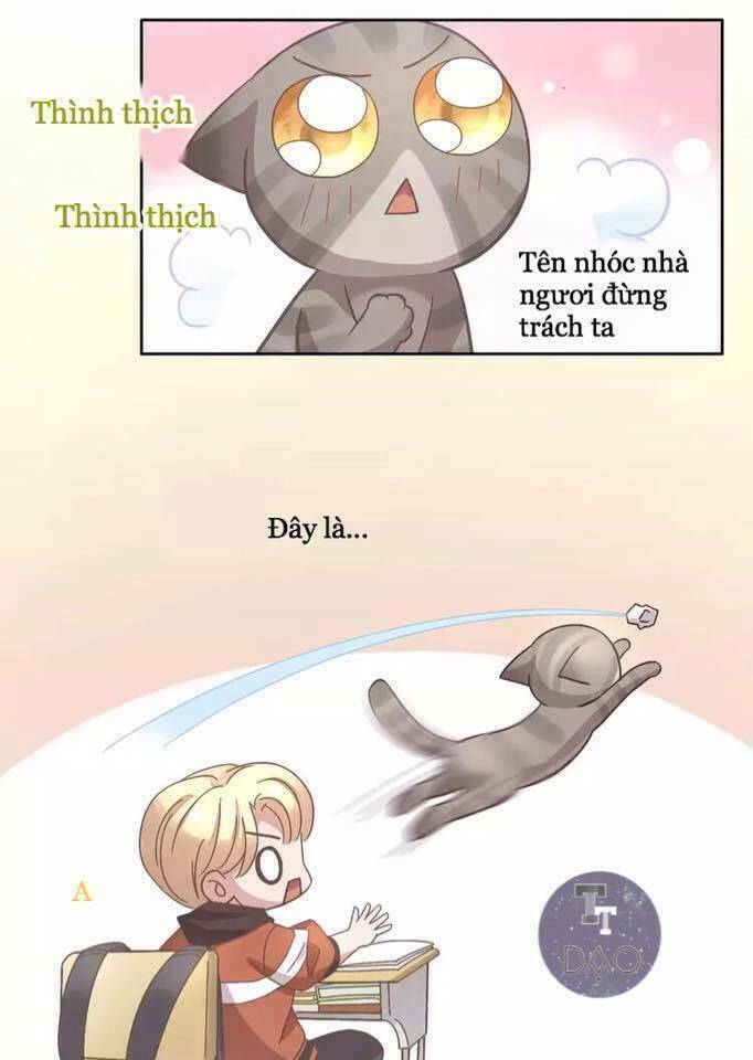 thị hoang chi thần chapter 21 38