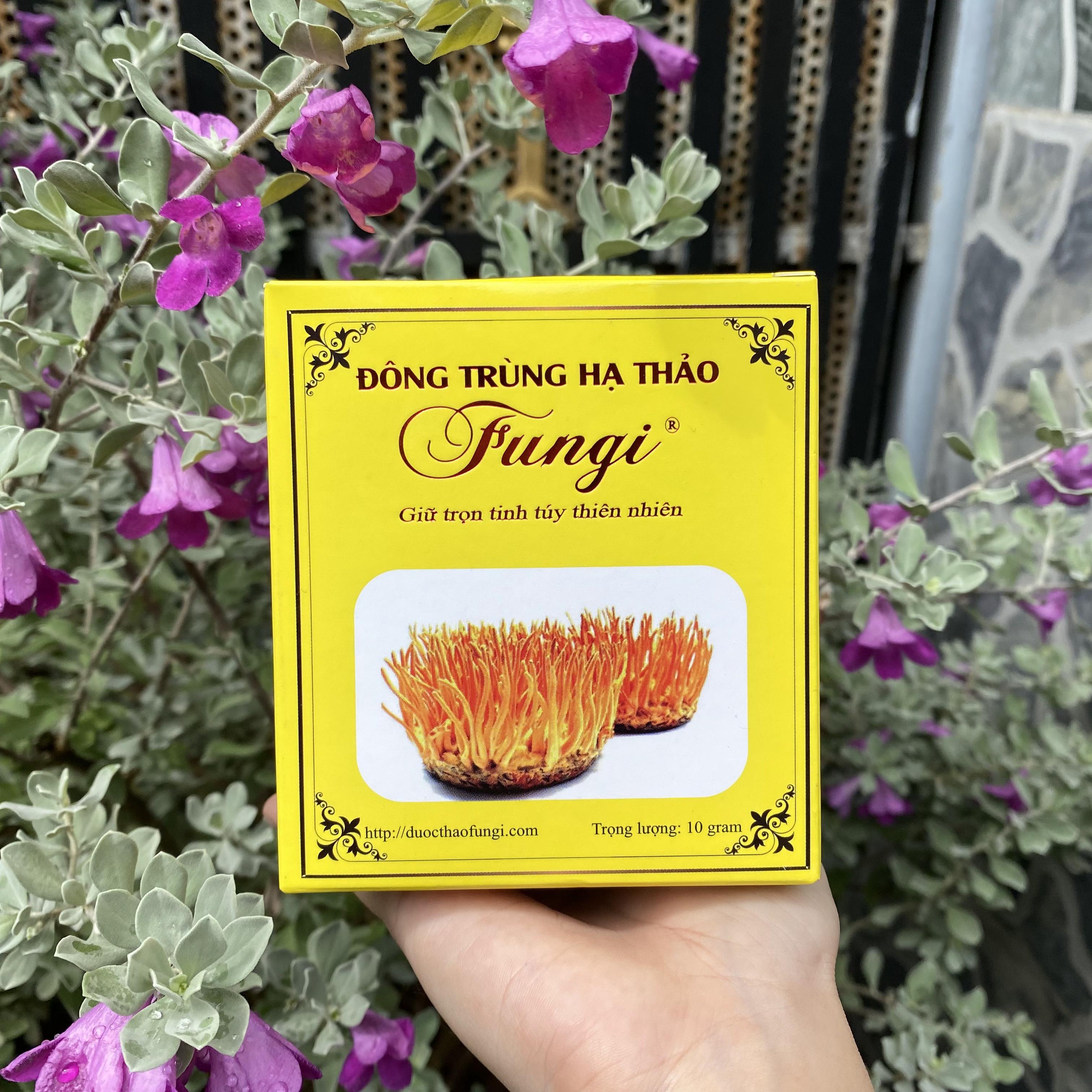 Đông trùng hạ thảo sấy thăng hoa