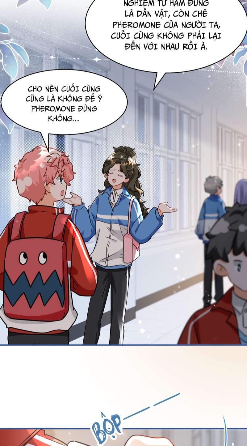 tín tức tố nói chúng ta không thể chapter 67 11