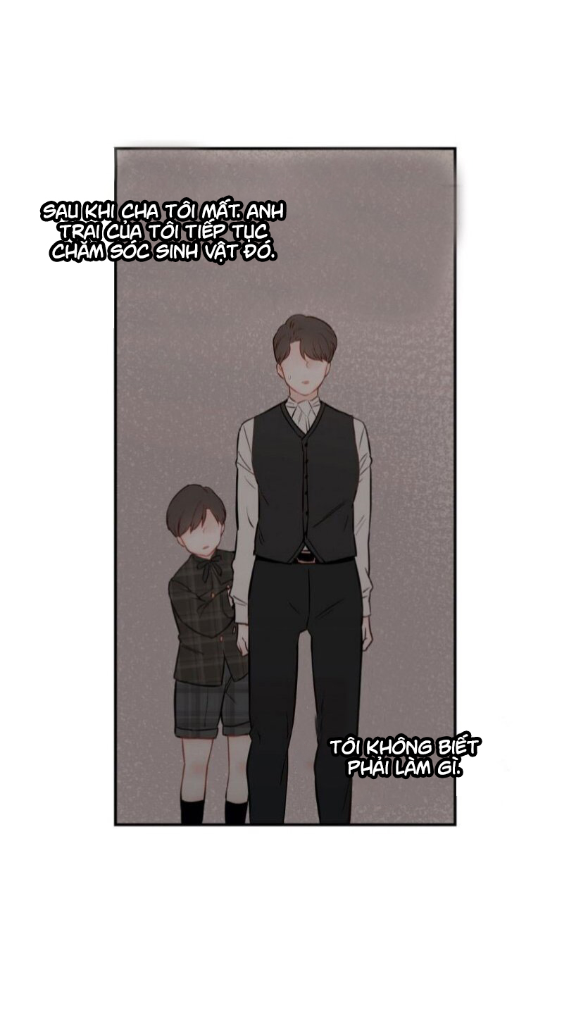 hương vị ngọt ngào chapter 2 42