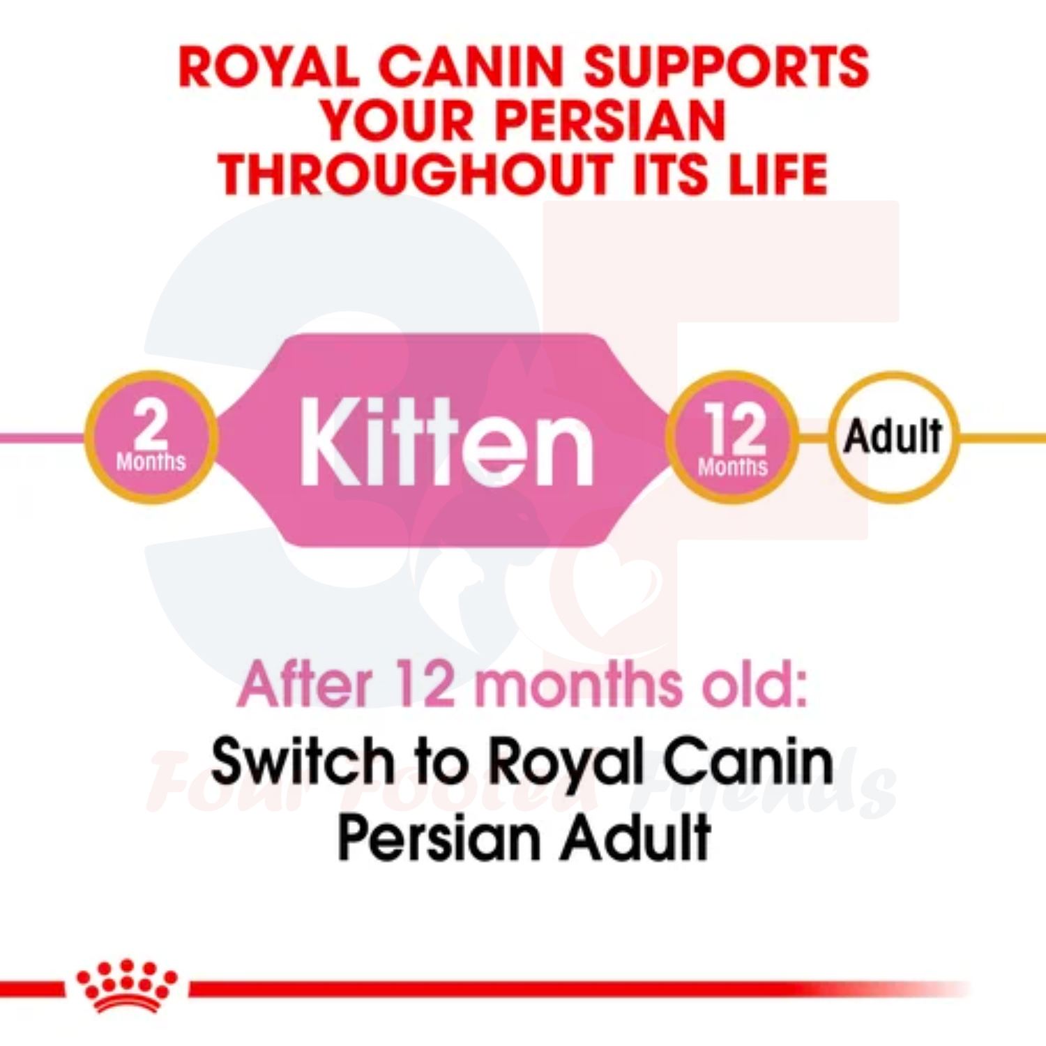 Thức Ăn Cho Mèo Ba Tư từ 4-12 Tháng Tuổi Royal Canin Persian Kitten