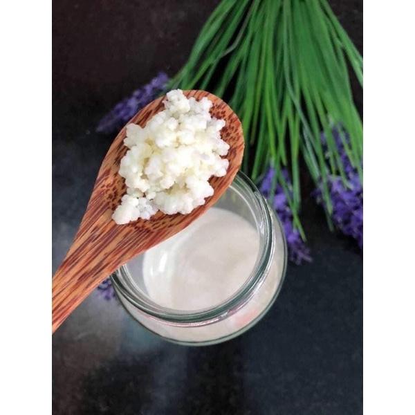 Combo nấm sữa : nấm sữa + thìa gỗ +rây lọc nhựa + bình thủy tinh 1 lít cao cấp + khăn Xô