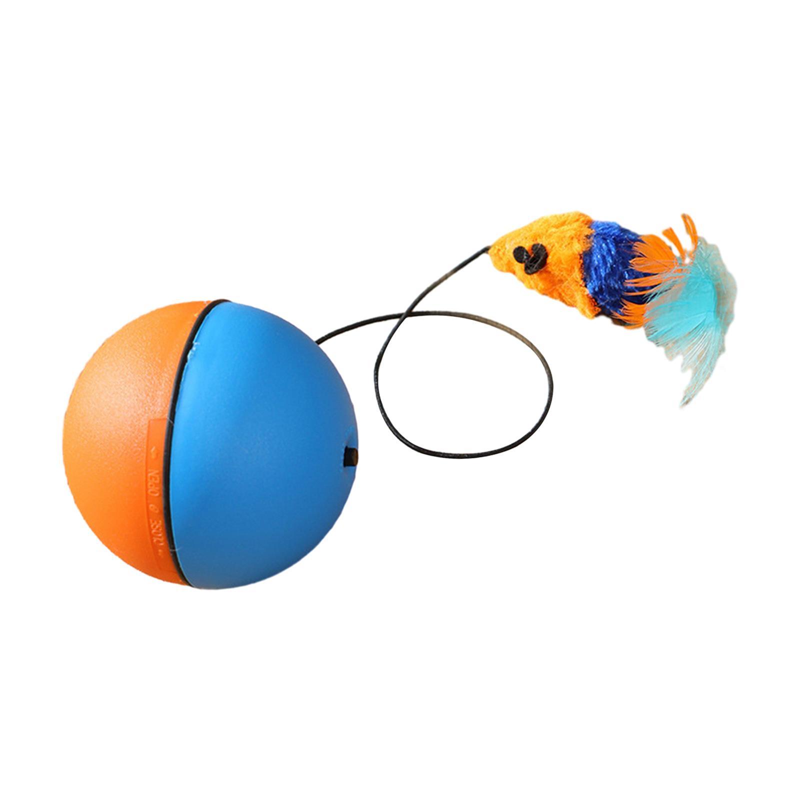 Interactive Cat Toys Ball Teaser Toys Ball Cat Toys for Kitty Chasing