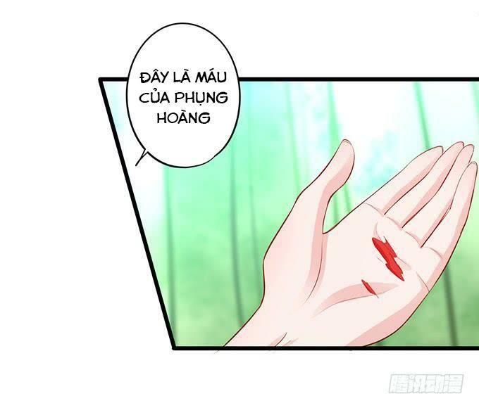 hồ tiên hung bạo chapter 126 69