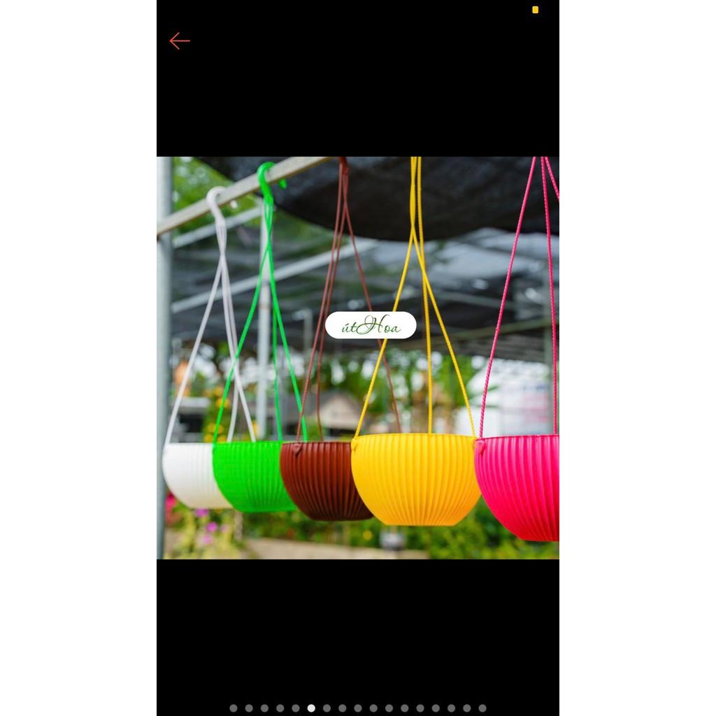 5 Chậu Nhựa Sọc treo, Chậu Sóng Treo Hoa + Có Luôn Dây Treo 16cm