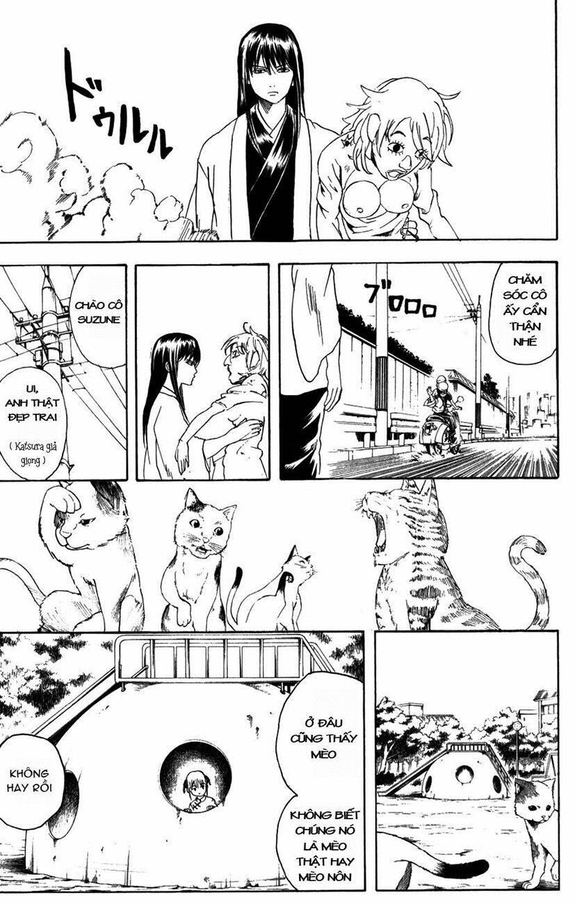 gintama - linh hồn bạc chapter 208 13